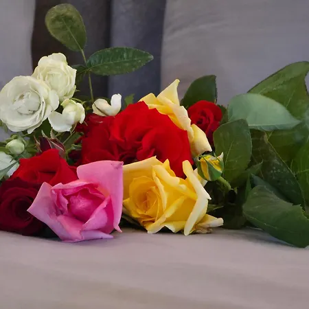 아파트 Casa Bambino Sithonia 시키아